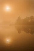 Sunrise in the mist, ducks on lake Grundlsee, Salzkammergut, Styria, Austria