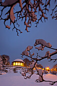 verschneite Äste, Beethoventempel im Kurpark, Baden bei Wien, Thermenregion, Niederösterreich, Österreich