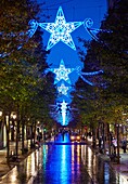 Street with Christmas lights, Getaria street, San Sebastian, Donostia, Gipuzkoa, Basque Country, Spain