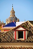 Cathedral dome  detail  seen from roof top, with window and colored roofs, Seville, Andalusia, Spain