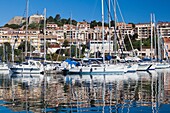 France, Corsica, Haute-Corse Department, La Balagne Region, Calvi, Port de Plaissance, yacht harbor, morning