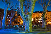 France, Corsica, Haute-Corse Department, La Balagne Region, Ile Rousse, Place Paoli, trees, dusk