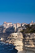 France, Corsica, Corse-du-Sud Department, Corsica South Coast Region, Bonifacio, Circuit des Falaises, cliff walk, elevated view of city and cliffs