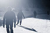 Ice skaters on frozen Assiniboine River, Winnipeg, Manitoba