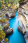 Athabasca Falls/River, Jasper National Park, Alberta