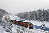 Canadian Pacific train at Morant's Curve along the Bow River, Banff National Park, Alberta
