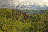 The Alsek Mountains along the Haines Highway, Yukon