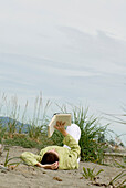 Woman reading a book, Island View Beach, Victoria, British Columbia