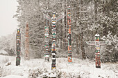 Snowy Totem Poles, Stanley Park, Vancouver, British Columbia