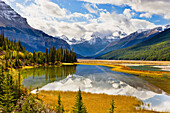 Mount Kitchener reflected in pond near Beauty Creek Hostel, Jasper National Park, Alberta