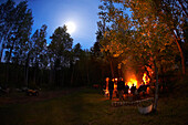 People by Campfire at Night, North Bay, Ontario