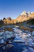 Opabin Plateau, River and Mount Huber with Mount Victoria, Yoho National Park, British Columbia