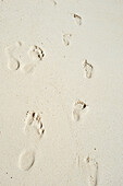 Child and adult feet tracks on the wet sand, Mauritius, Indian ocean