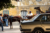 Arab Republic of Egypt, Cairo, Giza District, horse-drawn carriage, camel and car in th street