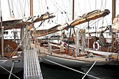 France, St Tropez, Marina, Close up of classic sailing boats