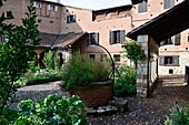 France, Tarn, Albi, the episcopal city, listed as World Heritage by UNESCO, garden of St Salvi cloister