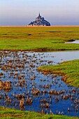 France, Normandy, Mont Saint-Michel.