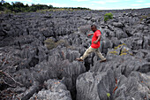 Republic of Madagascar, Diana Region, Ankarana District, Tsingy de Bemaraha Strict Nature Reserve - listed as a UNESCO World Heritage Site in 1990 due to the preserved mangrove forests and the karst limestone formations