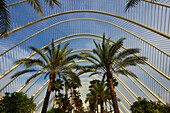Spain, Valencia, City of Arts and Sciences, L'Umbracle