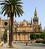Spain, Andalusia, Seville, Cathedral, Giralda