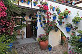 'Spain; Andalusia; Cordoba,  typical, patio, courtyard, '