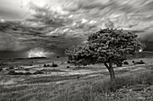 France : A storm on the Larzac plateau.