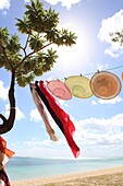 Indian ocean, Mauritius,  Drying clothes, straw hats