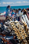 Fish Being Grilled Over Hot Coals,Outdoors, Malaga,Andalucia,Spain