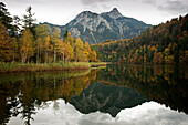 Lake Schwansee with Tegelberg Mountain in the background, Schwaben, Bavaria, Germany