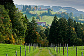 Ländliche Landschaft nahe dem Dorf Schönberg, Oberbayern, Bayern, Deutschland
