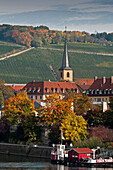 View from the historic centre to the vineyards on the outskirts of Wuerzburg, Franconia, Bavaria, Germany