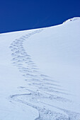 Zwei Skispuren im Pulverschnee, Vallatscha, Sesvennagruppe, Ofenpass, Graubünden, Schweiz