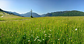 Panorama mit Blumenwiese und Kreuz, Laber und Kofel über dem Talkessel von Oberammergau im Hintergrund, Oberammergau, Ammergauer Alpen, Bayerische Alpen, Oberbayern, Bayern, Deutschland