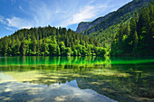 Bäume spiegeln sich im Lago Tovel, Lago Tovel, Brentagruppe, Brenta, Dolomiten, UNESCO Weltnaturerbe Dolomiten, Trentino, Italien