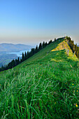 Wiese am Gipfel der Bodenschneid, Tegernsee im Hintergrund, Bodenschneid, Spitzing, Bayerische Alpen, Oberbayern, Bayern, Deutschland