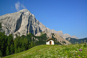 Chapel in flowering meadow beneath Grosser Lafatscher, Halleranger, Karwendel range, Tyrol, Austria