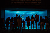 Silhouette von Menschen beim Betrachten von Fischen im Aquarium Oceanario de Lisboa im Parque das Nacoes (Park der Nationen), Lissabon, Portugal