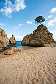 Strand und Felsen, Tossa de Mar, Costa Brava, Spanien