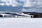 Winter landsape near the vilage of Bobbin, Jasmund Peninsula, Island of Ruegen, Mecklenburg-Western Pomerania, Germany