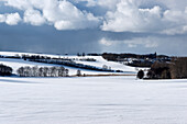 Winterlandschaft, Bobbin, Halbinsel Jasmund, Insel Rügen, Mecklenburg-Vorpommern, Deutschland