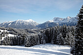 View to snwo-coverd Karwendel range, Elmau, Bavaria, Germany