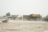 Sandstorm passing a village, Dogon land, Mopti region, Mali