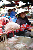 Verkäuferin bietet lebenden Zuchtfisch auf dem Markt an, Sa Dec, Dong Thap, Vietnam