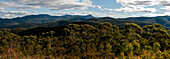 Panoramic view from Mealing Hill over the forests of the National Park, Coopracambra National Park Victoria, Australia