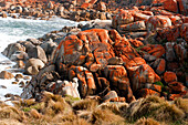 Flechtenüberzogen Granitfelsen am Point Hicks, Croajingolong Nationalpark, Victoria, Australien