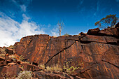 Aboriginal petroglyphs in Chambers Gorge, Flinders Ranges, South Australia, Australia