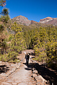 Hiking Tour to Paisaje Lunar near Vilaflor, Tenerife, Canary Islands, Spain