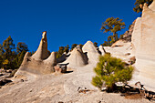 Weisse Mondlandschaft Paisaje Lunar im Teide Nationalpark, Teneriffa, Kanaren, Spanien