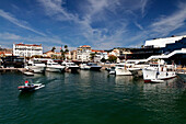 Le vieux Port de Cannes, Alter Hafen, Côte d’Azur, Provence, France