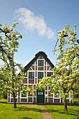 Blühende Bäume vor reetgedecktem Fachwerkhaus, bei Jork, Altes Land, Niedersachsen, Deutschland